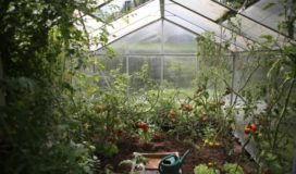 Humidity Level in a Greenhouse